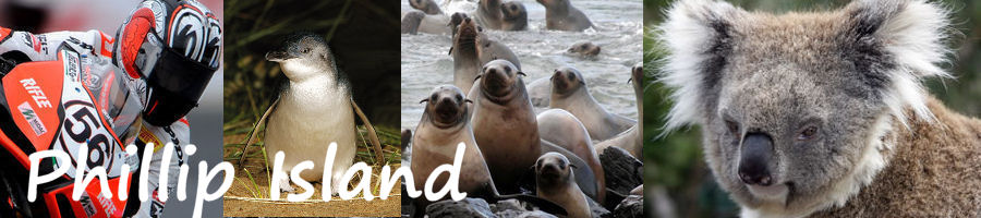 Phillip Island Accommodation and Information