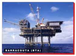 Barracouta