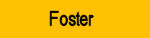 Foster Accommodation and Information