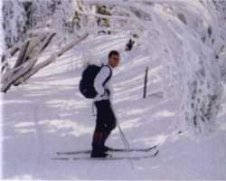 Cross country skiing in Baw Baw National Park
